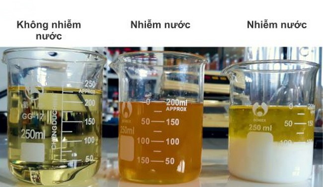 dau thuy luc bi nhiem nuoc 2